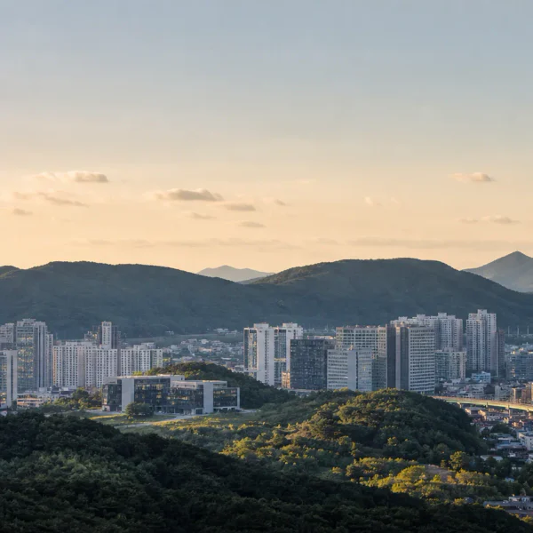 힐링 아모르룸 테라피 제휴업체 이미지