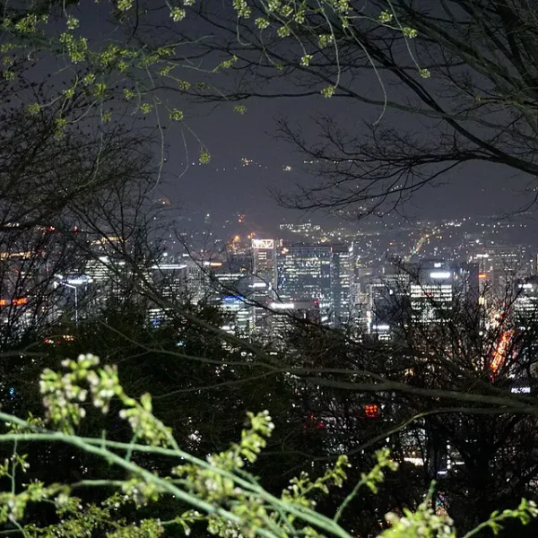 가든 세리하우스 홈타이 대표 안내 이미지