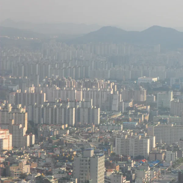 아로마 레이포레스트 홈타이 제휴업체 이미지