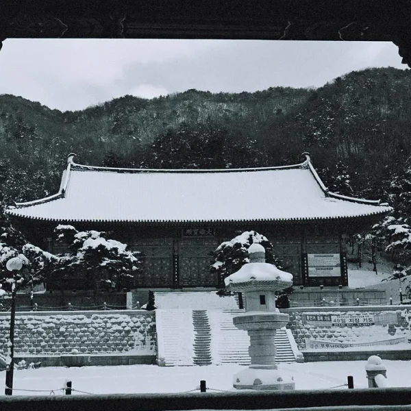 모던 리서포레스트 테라피 대표 안내 이미지
